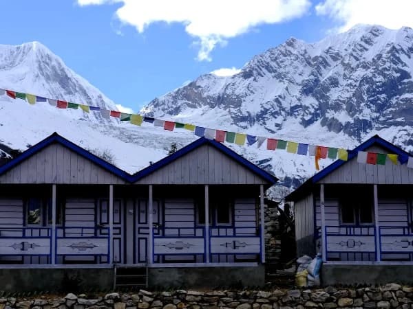 Manaslu Circuit Trek trail view with snowy peaks and traditional teahouse during the peak autumn season